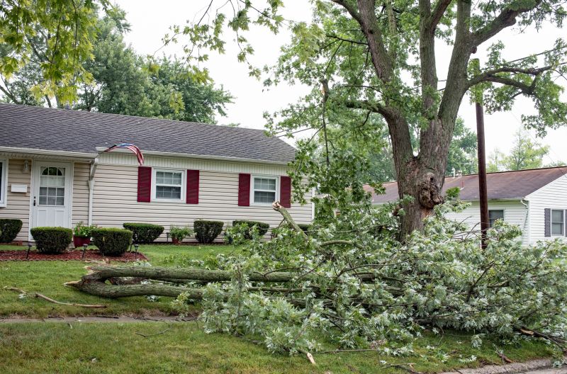 Storm Damage Cleanup