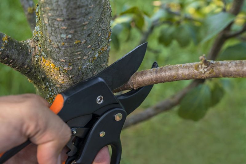 Tree Health Maintenance